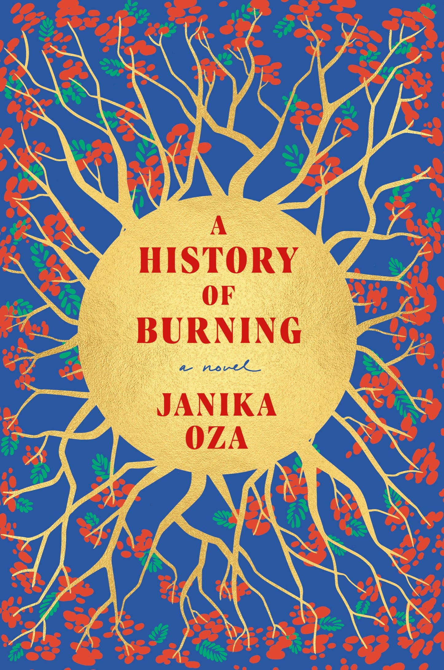 A History of Burning: A Novel