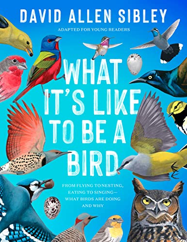 What It's Like to Be a Bird: From Flying to Nesting, Eating to Singing—What Birds Are Doing and Why