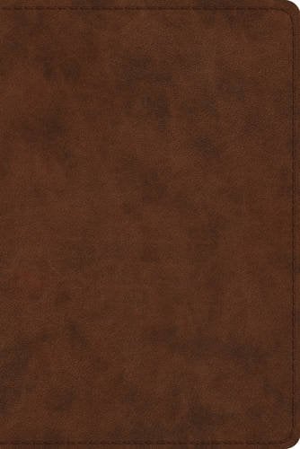 ESV Study Bible (TruTone Brown)