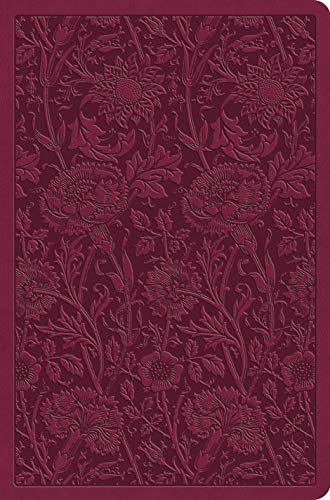 ESV Value Compact Bible (TruTone, Raspberry, Floral Design)